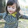 宠物美容知识内容总结